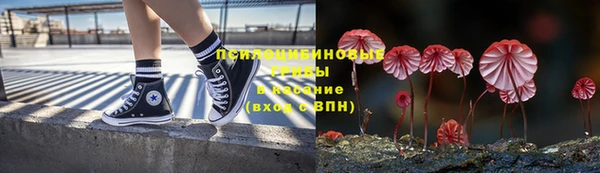 гидропоника Беломорск