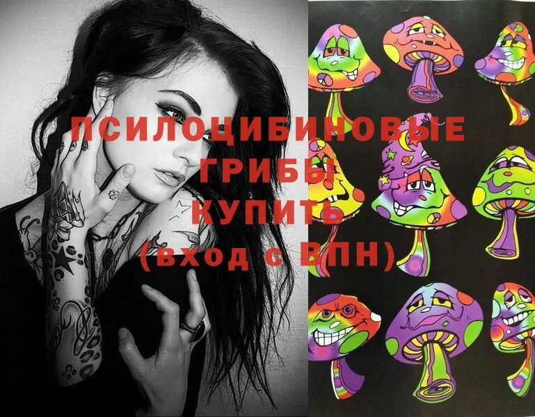 Галлюциногенные грибы Magic Shrooms  Гусев 