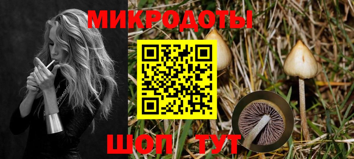 Псилоцибиновые грибы Psilocybine cubensis  Гусев  купить  сайты  Галлюциногенные грибы мухоморы 