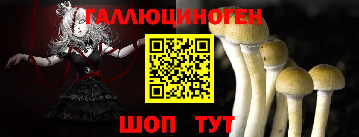Галлюциногенные грибы Psilocybine cubensis  Вход с VPN  Гусев  Псилоцибиновые грибы GOLDEN TEACHER 